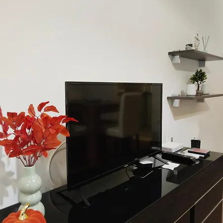 Ija Apartment *